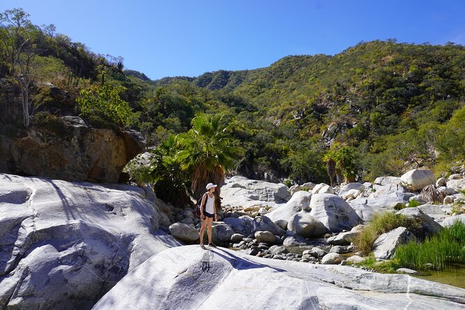 Cabo San Lucas Private Hidden Waterfall Hike  - San Jose Del Cabo - Common questions