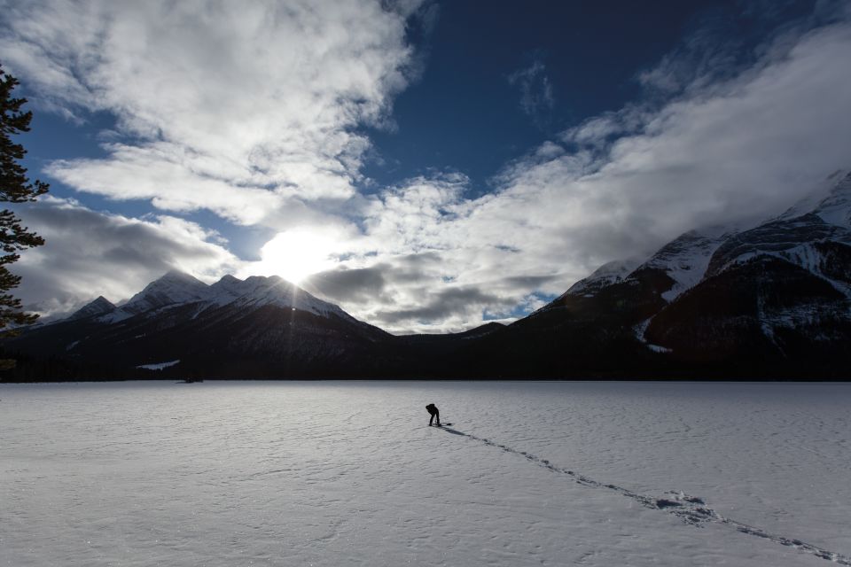 Canmore: Wilderness and Wildlife - Hiking Tours - Tour Experience