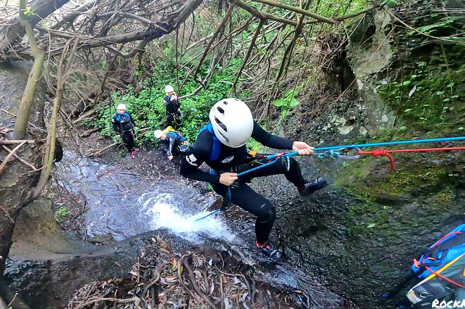 Canyoning in Rainforest: the Hidden Waterfalls of Gran Canaria - Equipment and Requirements