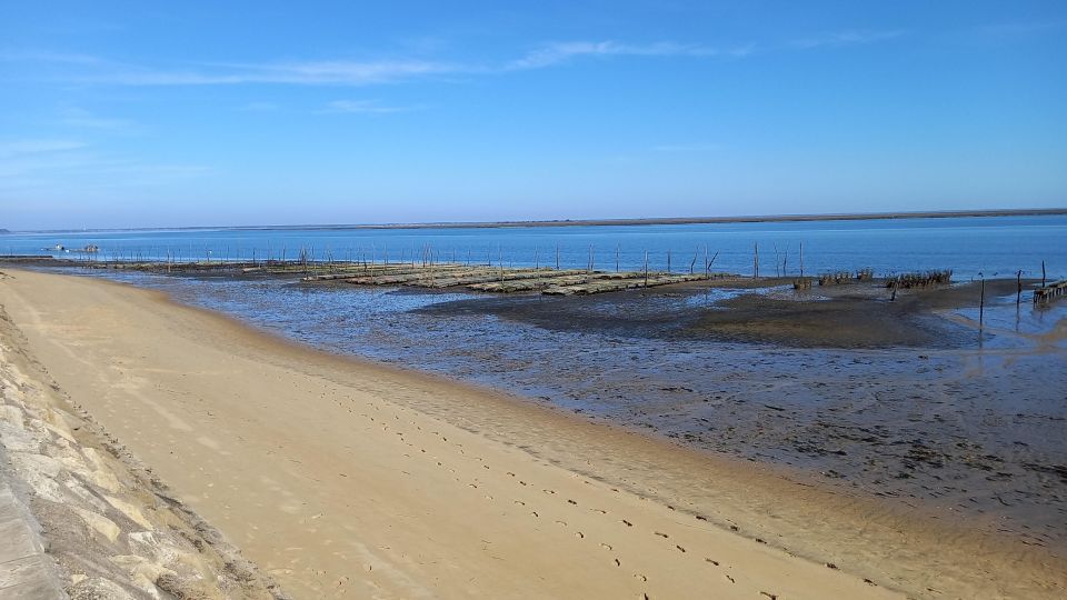 Cap-Ferret With Oysters Tasting - Itinerary Highlights