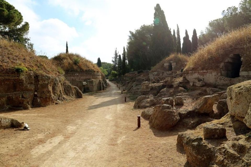 Cerveteri - the Etruscan Necropolis Private Tour From Rome - Booking Details and Pricing