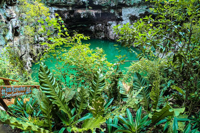 Choose Your Experience to Live in Los 7 Cenotes San Gerónimo - Meeting and Pickup Details