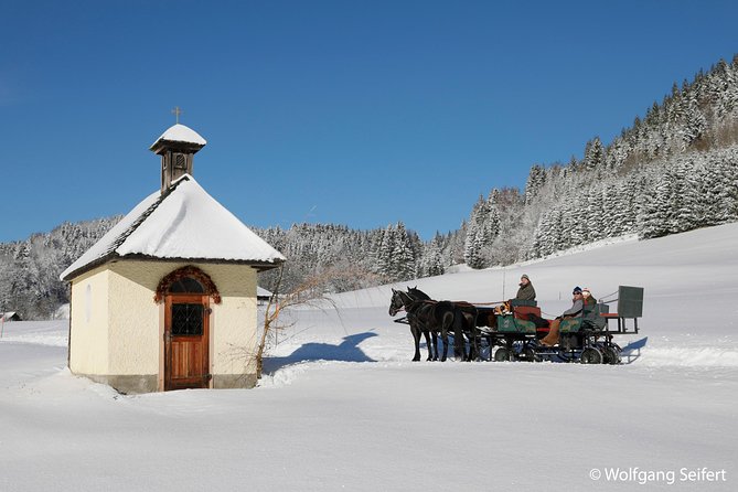 Christmas Horse-Drawn Sleigh Ride From Salzburg - Traveler Reviews