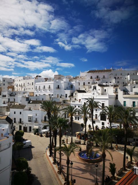 Coastal White Villages and Beaches Private Tour From Seville - Language Options and Accessibility