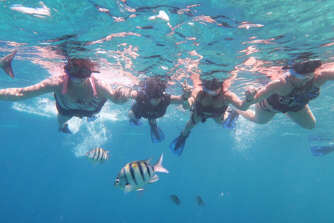 Cozumel Luxury Sailing & Snorkeling With Lunch and Open Bar Onboard - Booking Information