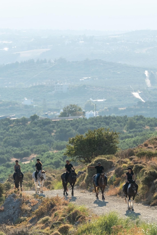 Crete Horse Riding: Cretan Countryside Ride - Experience Description