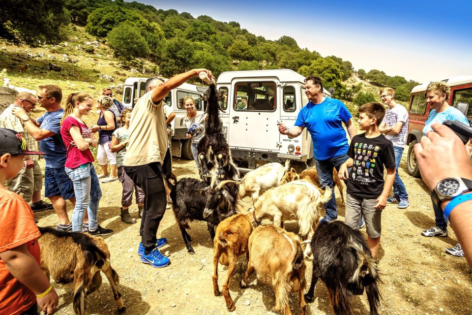 Crete: Land Rover Safari on Minoan Route - Pickup Details and Highlights