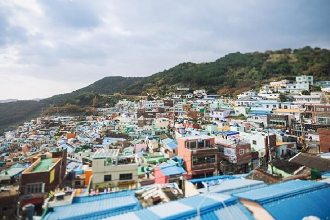 Cruise Layover : Small Group Busan Essential Tour - Discover Busans Hidden Gems