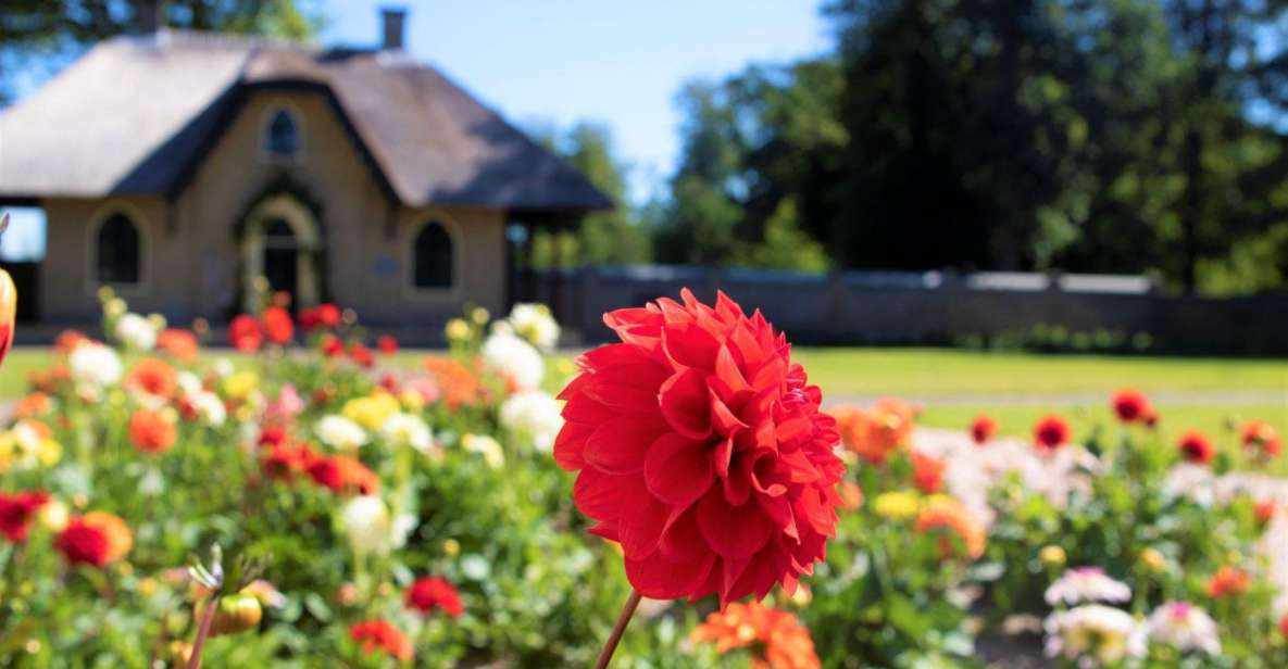 Daytour Keukenhof Castle Flower Garden and Flower Farm - Experience Highlights