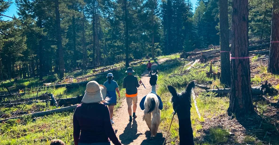 Denver: Llama Hike in the Rocky Mountains - Location & Accessibility