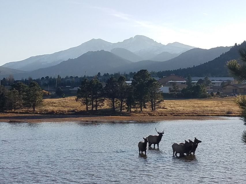 Denver: Rocky Mountain National Park Tour With Picnic Lunch - Inclusions