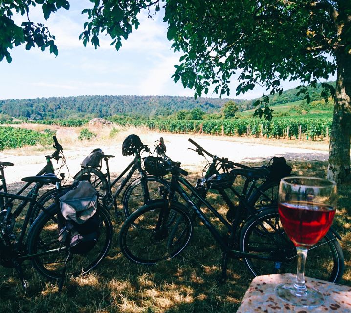 Dijon: Bike Tour and Tastings in the Vineyards of Burgundy - Tour Description