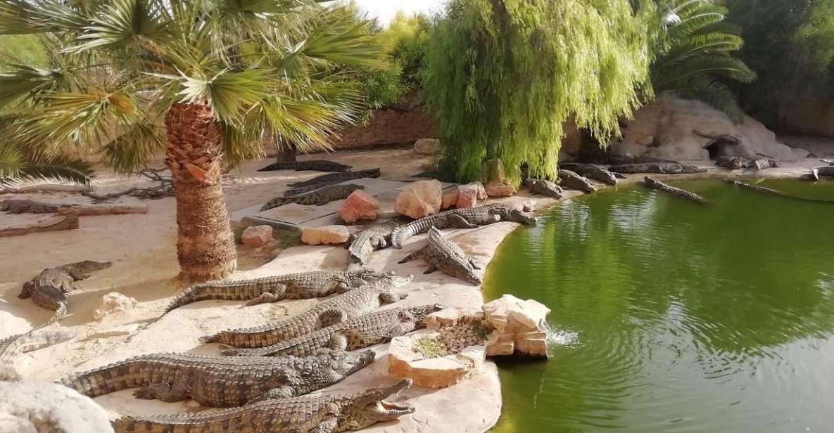 Djerba: Explore Park and Crocodile Farm With Pickup - Ticket Info