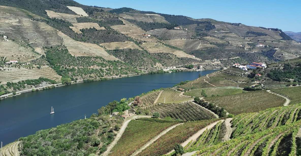 Douro Exclusive: The Full Tour! - Booking Information and Policies