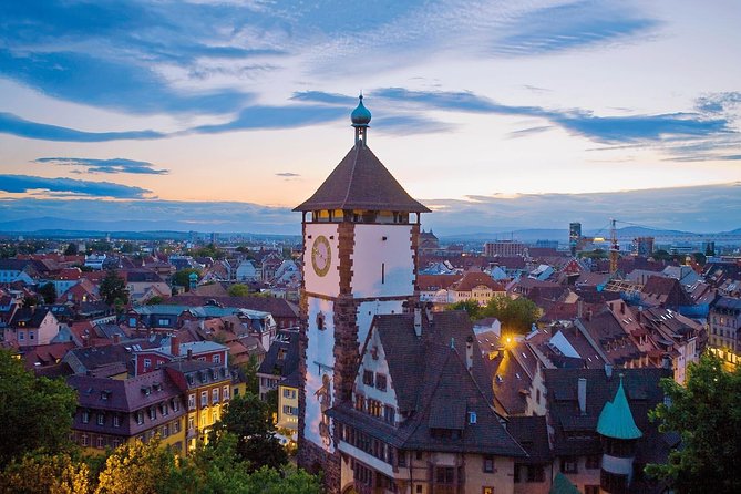 France, Germany and Switzerland Full Day Tour From Colmar - Guide Performance and Responses