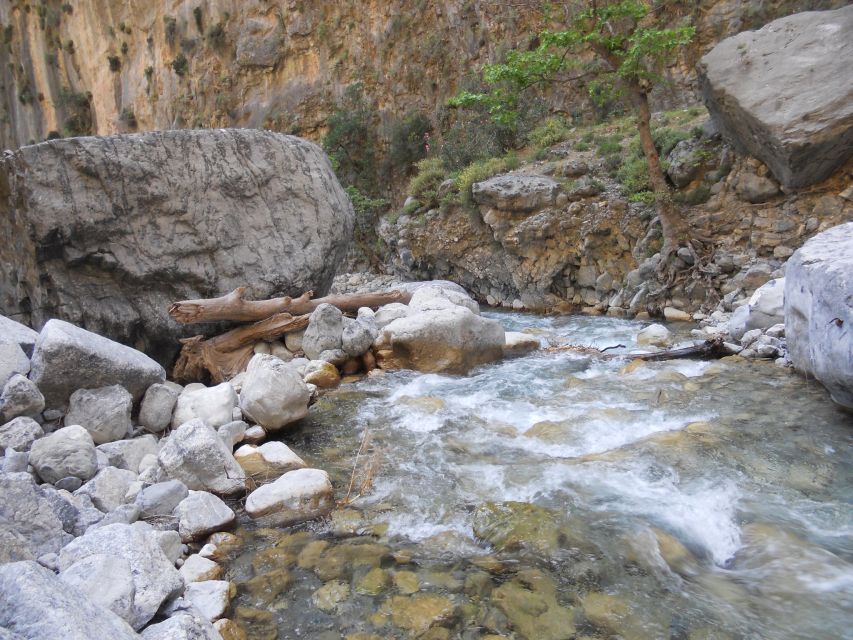 From Agia Galini/Matala: Samaria Gorge Hiking Tour - Activity Description
