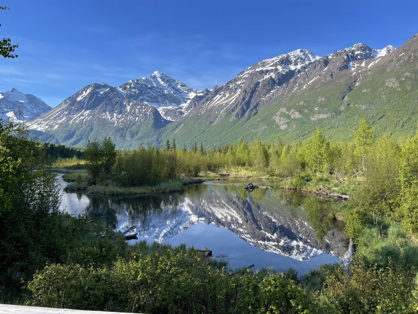 From Anchorage: Valley and Forest Hike With Naturalist Guide - Experience Highlights