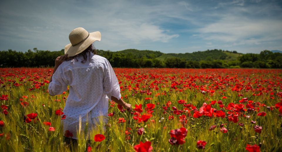 From Florence: Chianti Wine and Tuscan Countryside Tour - Duration and Languages