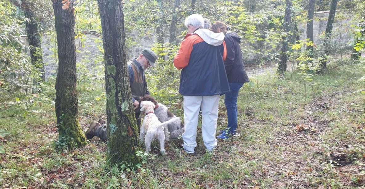From Florence: Truffle Hunt and Lunch in the Countryside - Pricing and Duration
