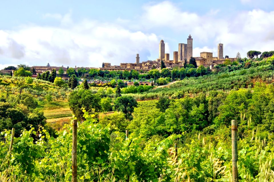 From Florence: Tuscany Day Trip With a Private Chauffeur - Activity Description