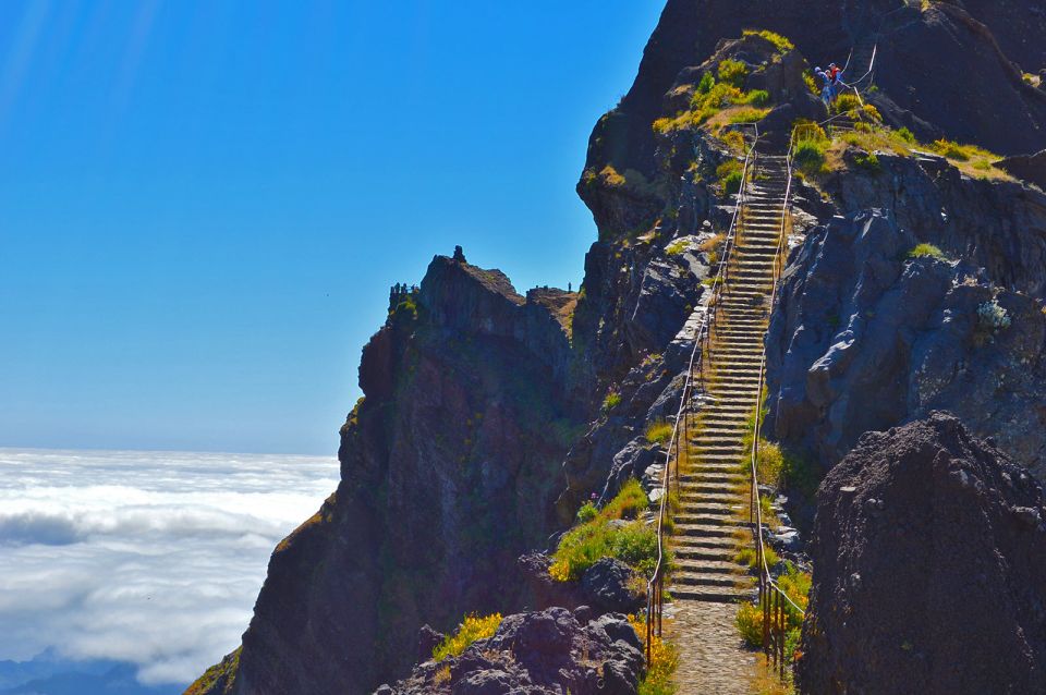 From Funchal: Madeira Peaks Mountain Walk - Inclusions and Restrictions