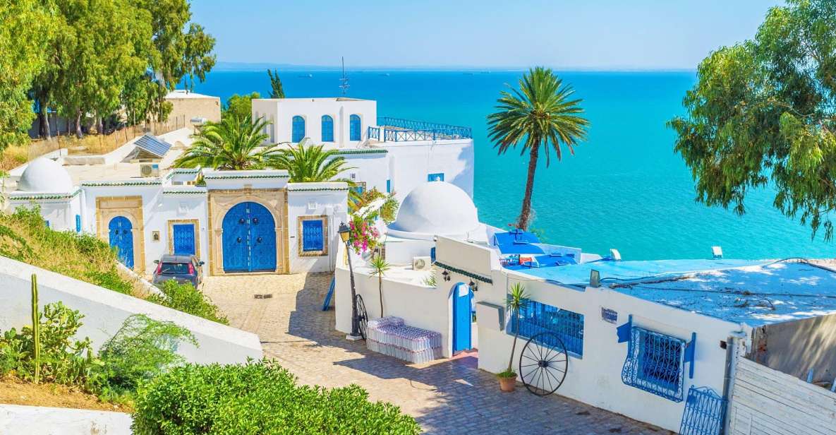 From Hammamet: Day Trip to Sidi Bou Saïd and Carthage - Details
