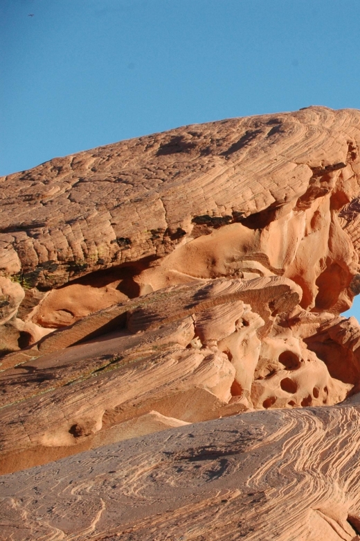 From Las Vegas - Valley of Fire - Tour Experience