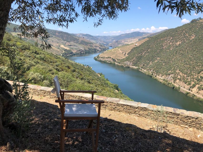 From Porto: Private Douro Valley Tour and Boat Cruise - Tour Details