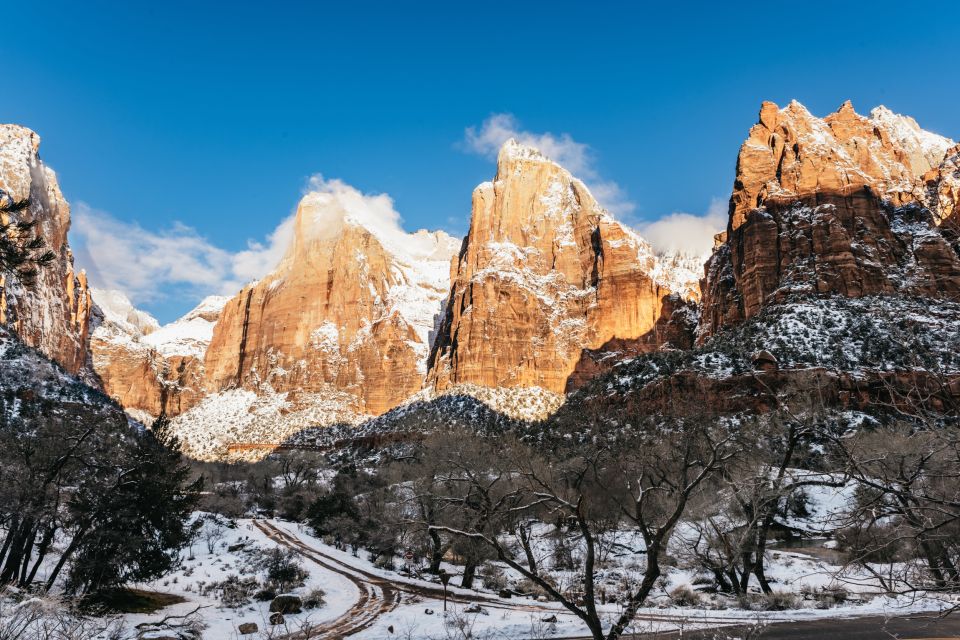 From Springdale: 4-hour Zion Canyon Scenic Hiking Tour - Booking Guidelines and Policies