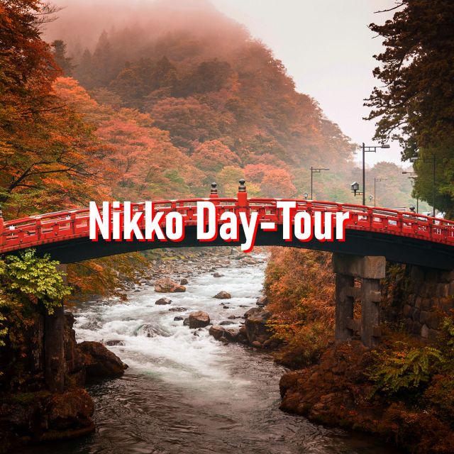 From Tokyo: 10-hour Private Custom Tour to Nikko - Experience Highlights