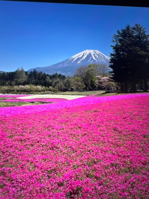 From Tokyo/Yokohama: Mount Fuji Private Tour With Pickup - Highlights