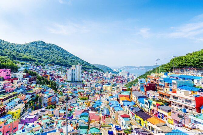 Full-Day Busan Highlights Private Guided Tour - Meeting and Pickup Arrangements