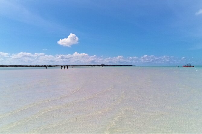 Full Day Excursion to the Best of Holbox From Cancun - Traveler Photos and Reviews
