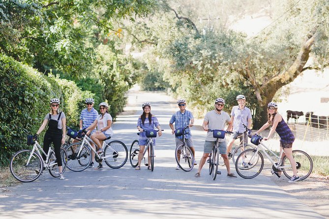 Full-Day Napa Valley E-Bike Tour - Itinerary Highlights