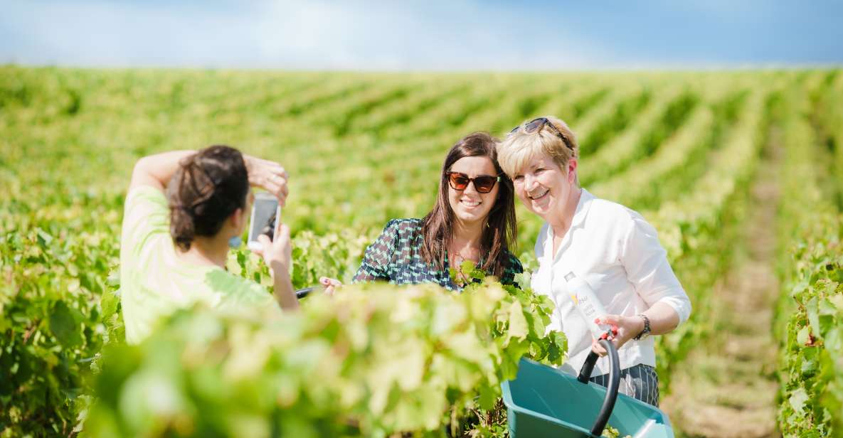 Full Day Pommery Small Group Tour - Pickup Options and Cancellation Policy