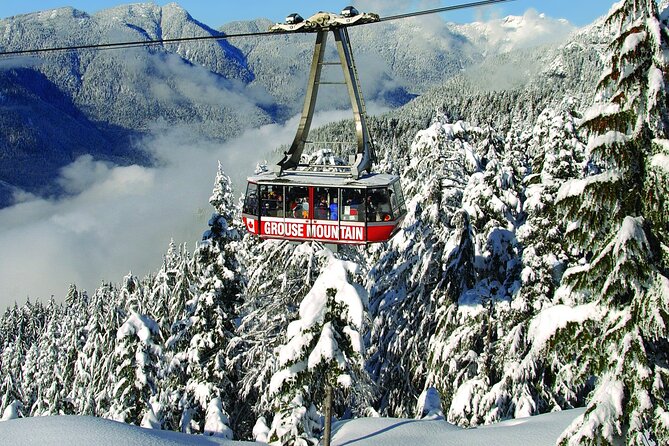 Grouse Mountain Admission Ticket - Inclusions Covered in Admission Ticket