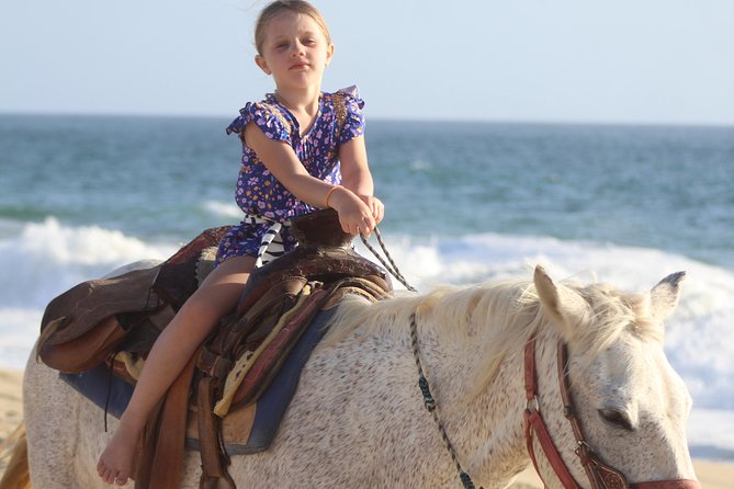 Guided Cabo Horseback Ride With Hotel Pickup  - Cabo San Lucas - Logistics and Meeting Points