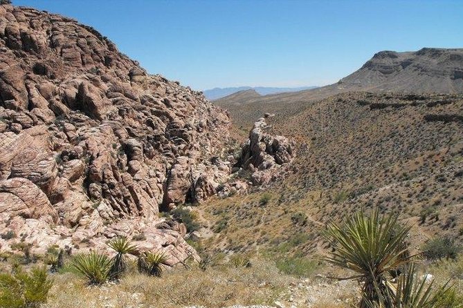 Guided Mountain Bike Tour of Mustang Trail in Red Rock Canyon - Additional Information