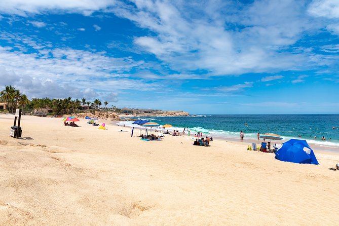 Half-Day Coast Tour With Snorkeling at Chileno Beach  - San Jose Del Cabo - Glass-Bottomed Boat Excursion