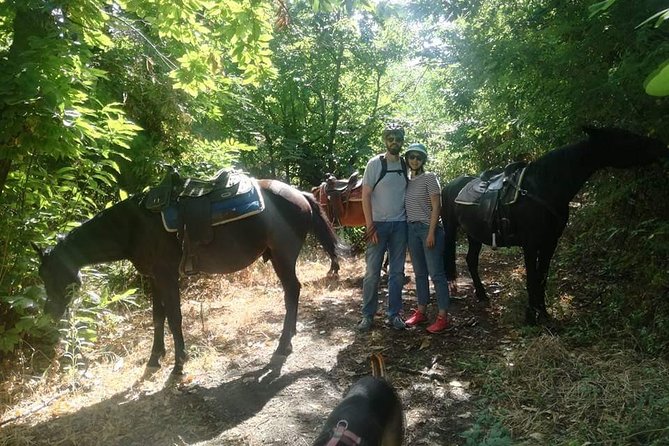 Horse Riding on Vesuvius - How to Book Your Ride