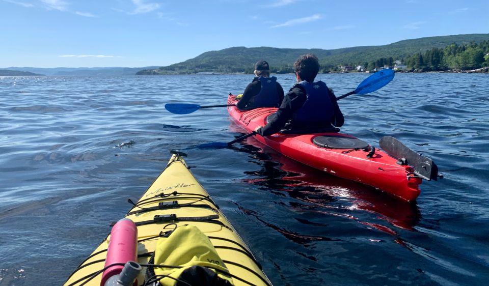 Humber Arm South: Bay of Islands Guided Kayaking Tour - Tour Experience