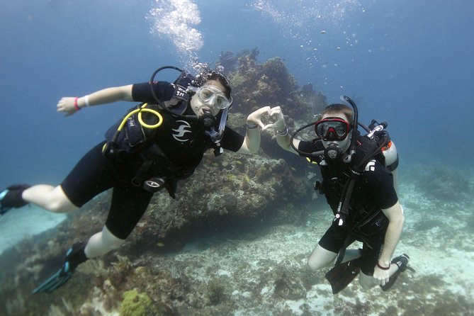 Isla Mujeres Small-Group MUSA Scuba Dive - Expectations and Requirements