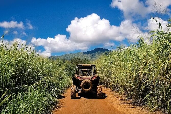 Kauai ATV Backroads Adventure Tour - Booking Process Overview