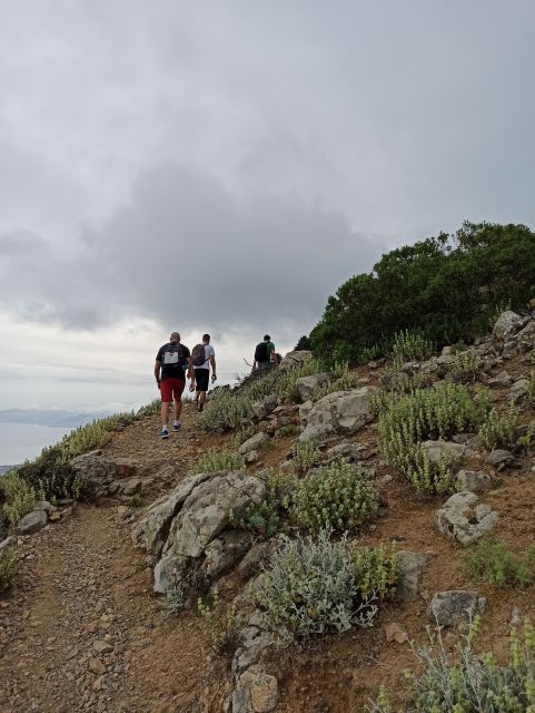 Kos: Moderate Hiking Tour on Dikaios Mountain - Your Island Hiking Experience