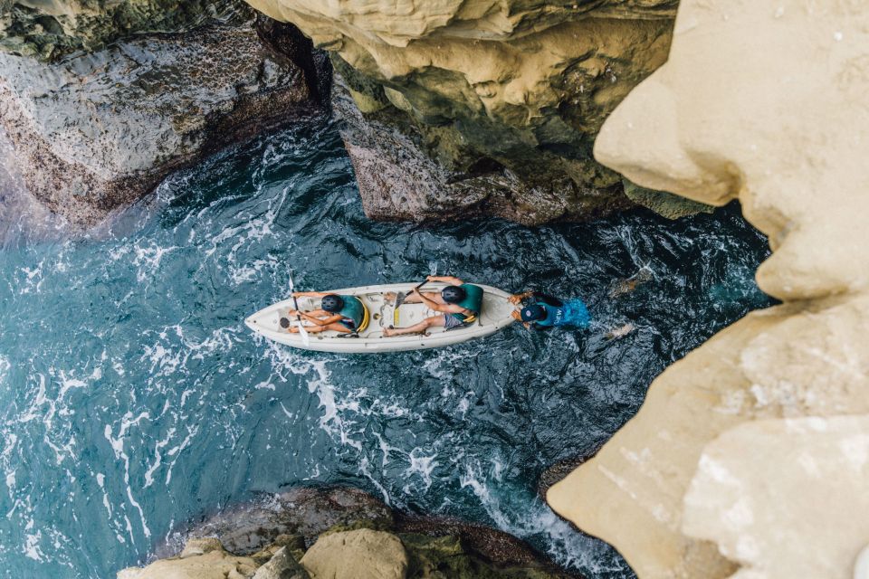 La Jolla Underwater Park: Kayak and Snorkel Tour - Inclusions