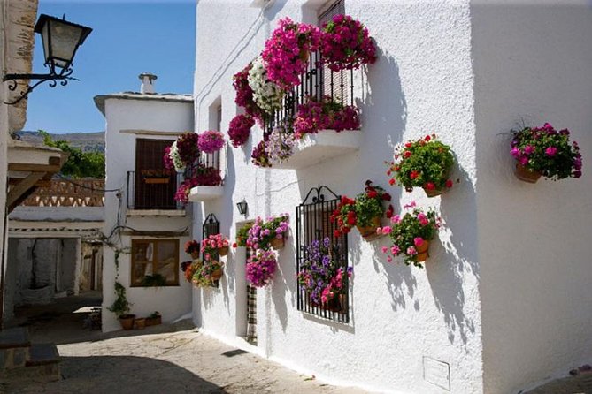 Las Alpujarras Full-Day Tour With Optional Lunch From Granada - Itinerary Highlights