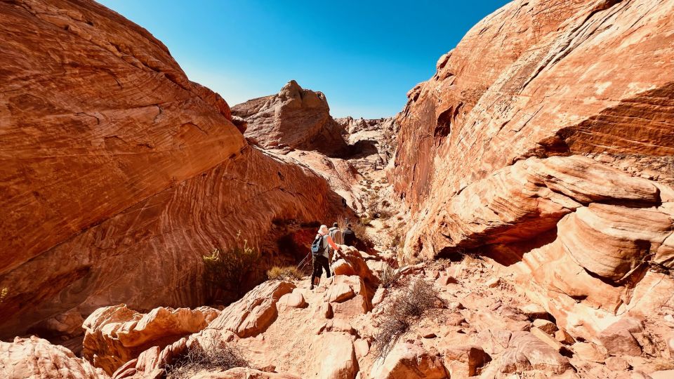 Las Vegas: Valley of Fire Scenic Tour - Important Information