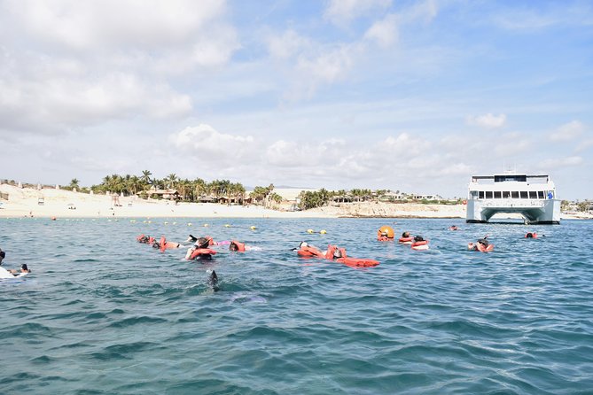 Los Cabos Reef Snorkeling Cruise With Lunch and Open Bar - Additional Information and Policies