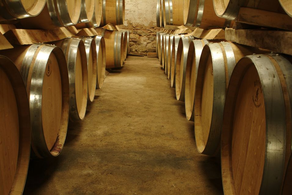 Luberon: Full-Day Wine Tour From Marseille - Tour Provider Details