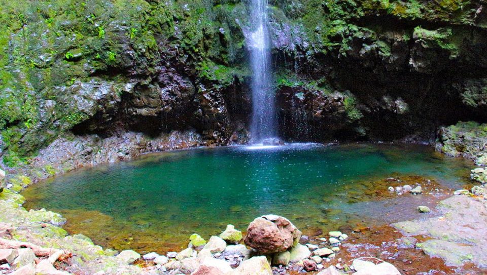 Madeira: Forest Fires, Green Cauldron and Levada Walk - Provider and Rating Details
